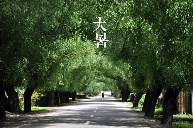 大暑丨葡園消煩暑，夢涼天地寬
