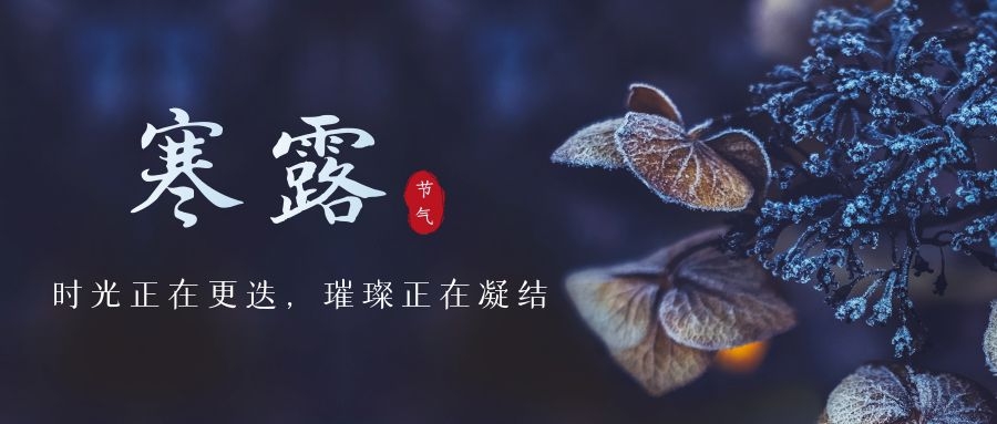 寒露 ▎時光更迭，璀璨正在凝結~