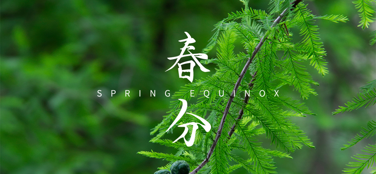 春分 ▎不負(fù)春光，萬物生長(zhǎng)