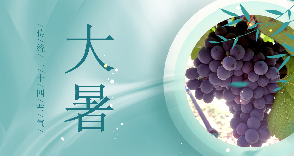 大暑 ▎時夏三伏盛，葡萄綴滿天