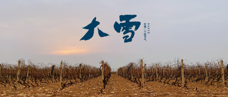 大雪 ▎世界留白，天地靜美