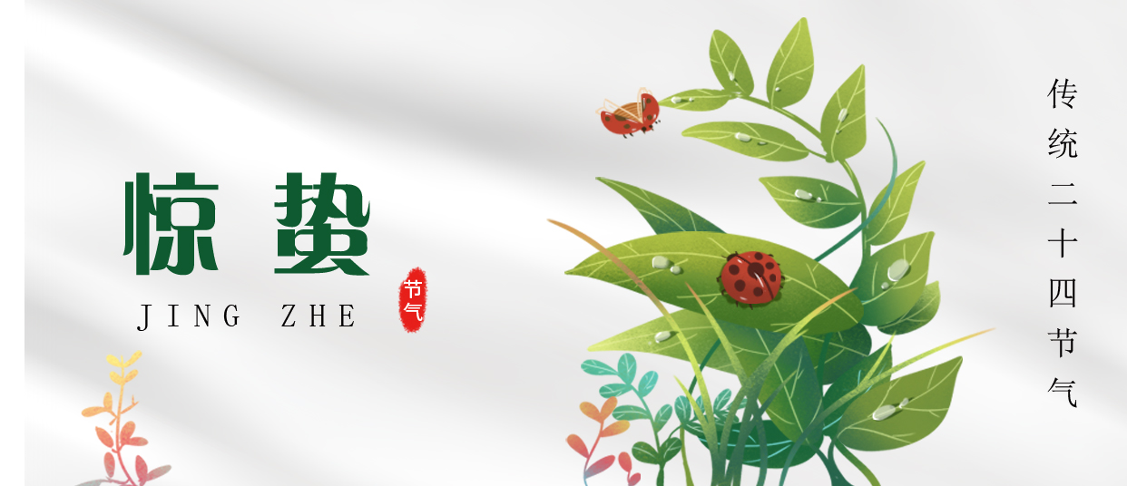 驚蟄 ▎雷鳴春醒，萬物生長
